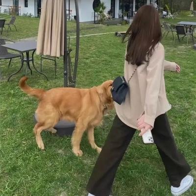 瓜达卢佩的吹笛人